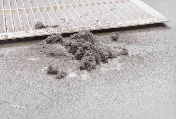 Best HVAC Air Duct Cleaning  in Berkeley, CA